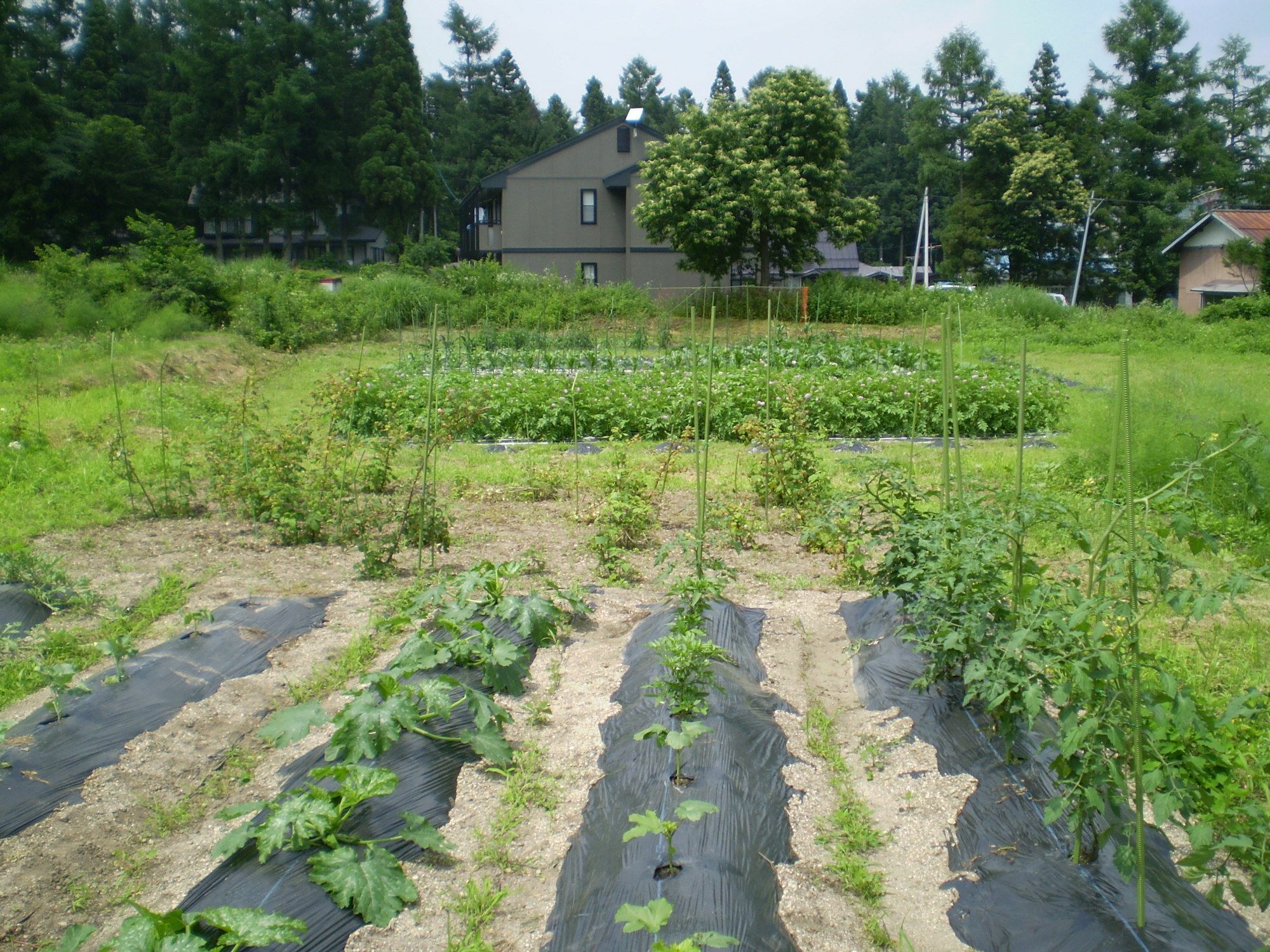 Bed and Breakfast ペンション ちゃうちゃう Hakuba Exteriér fotografie