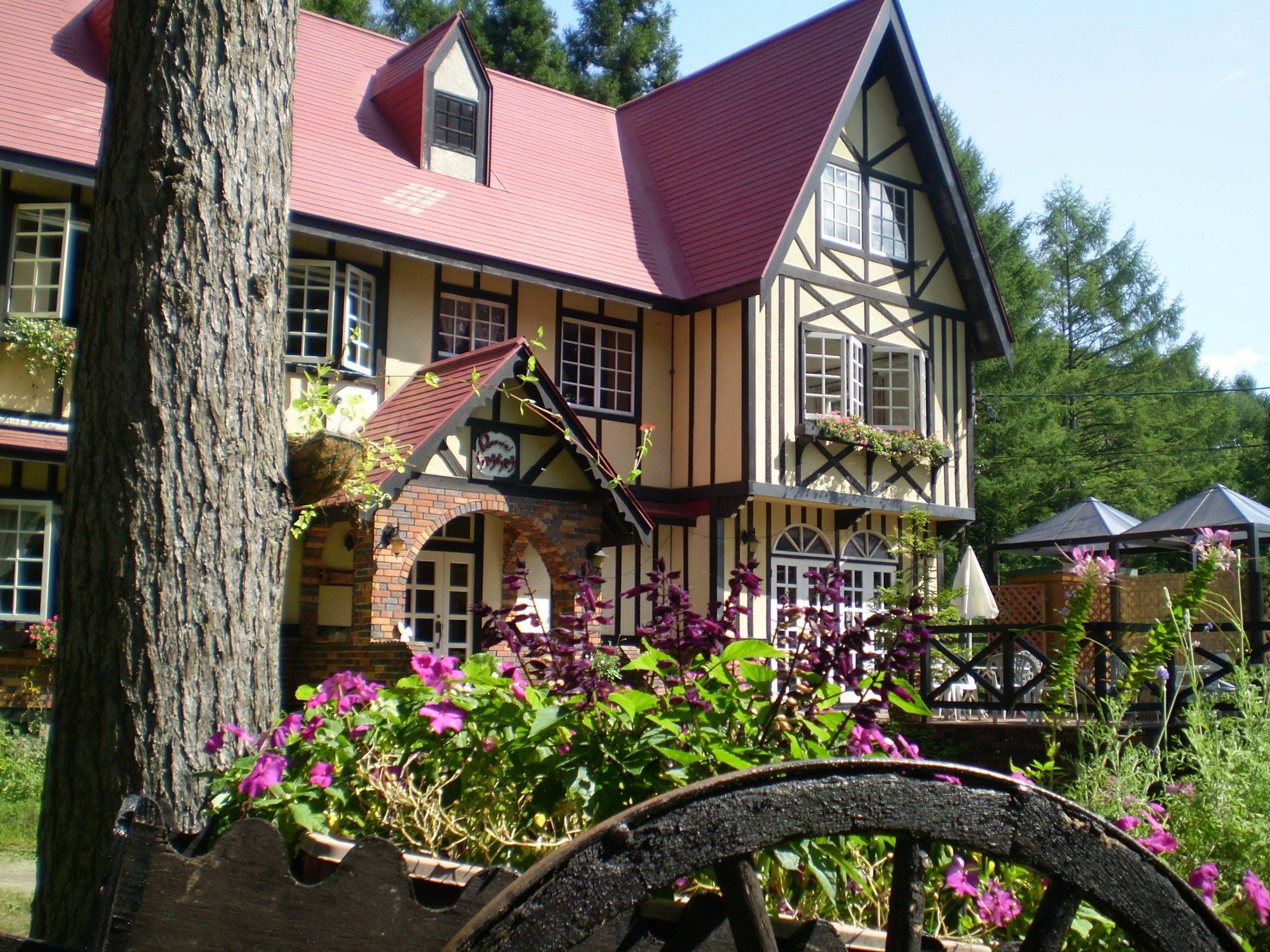 Bed and Breakfast ペンション ちゃうちゃう Hakuba Exteriér fotografie